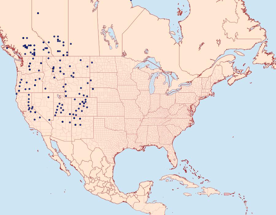 Distribution Data for Apamea longula