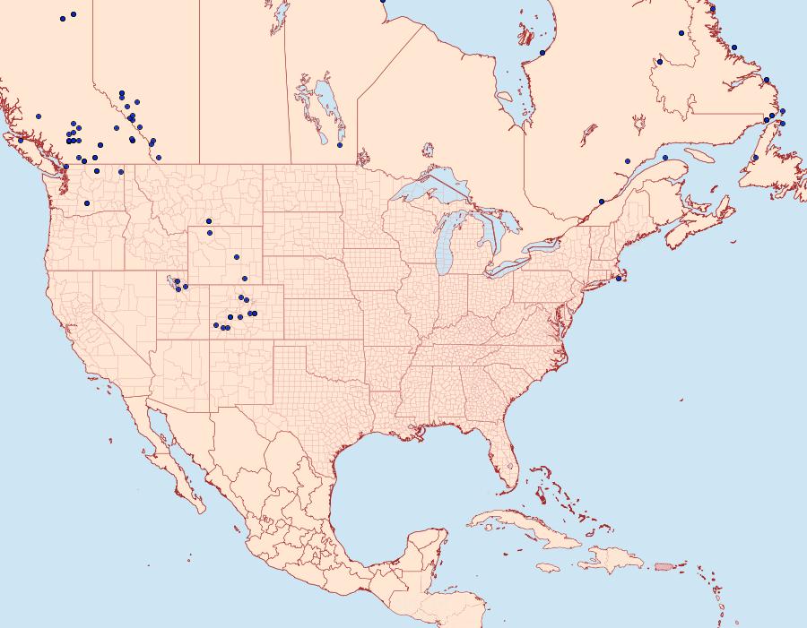 Distribution Data for Apamea zeta