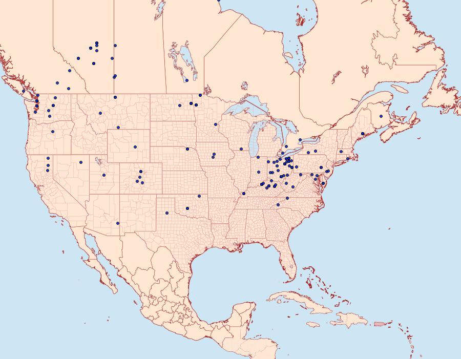 Distribution Data for Resapamea passer