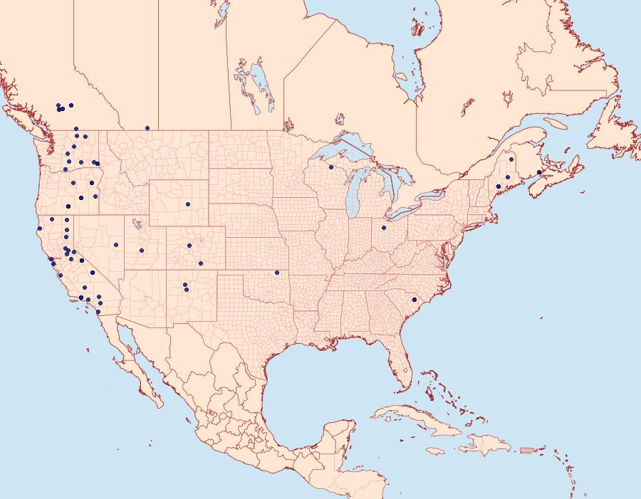 Distribution Data for Neoligia tonsa