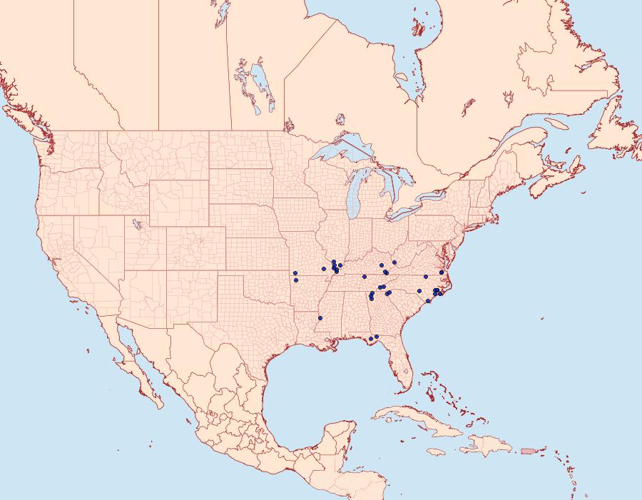 Distribution Data for Protapamea danieli