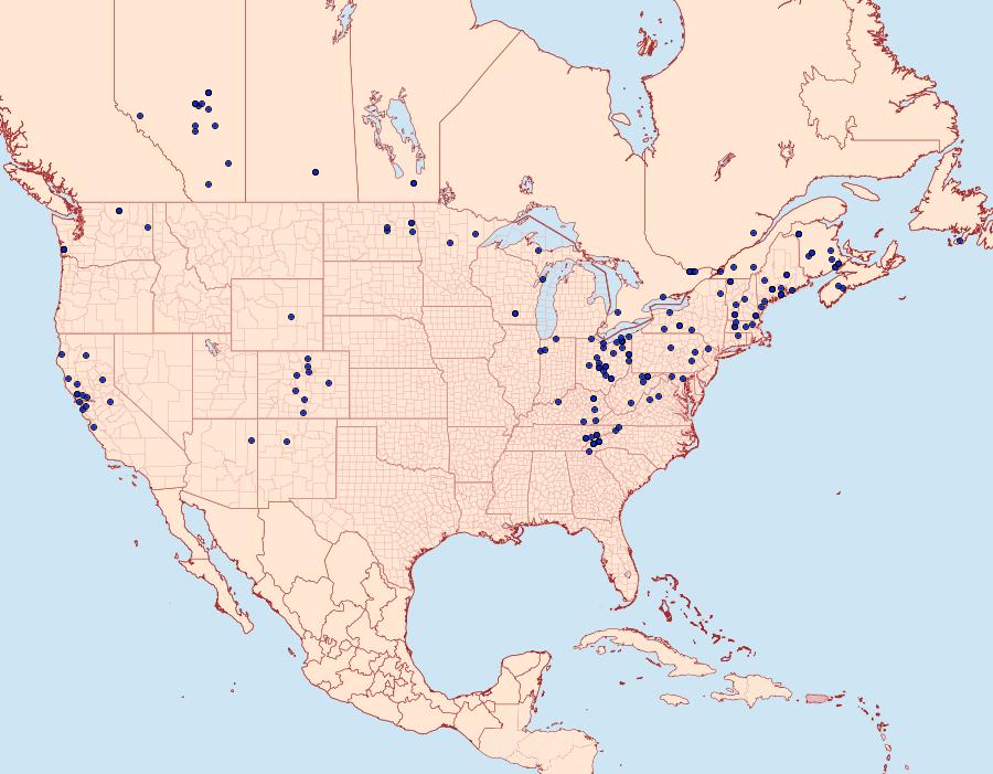 Distribution Data for Amphipoea americana