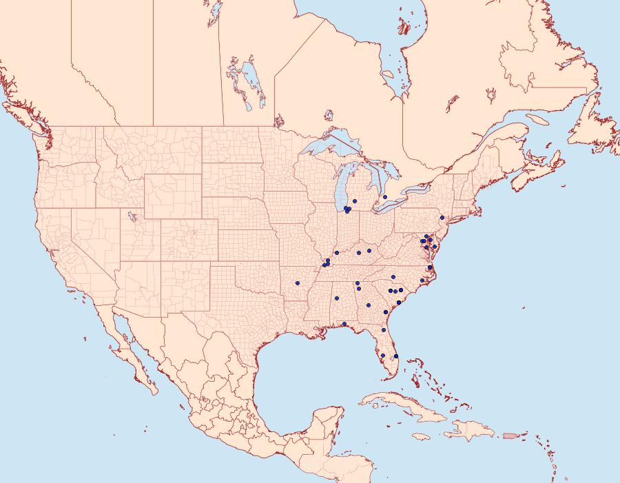 Distribution Data for Parapamea buffaloensis