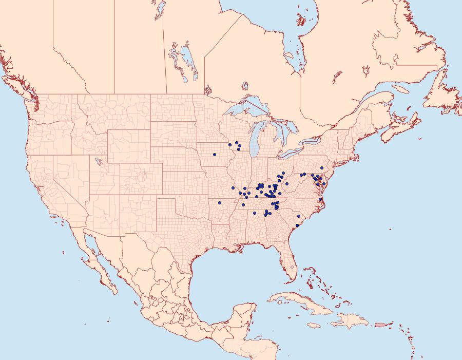 Distribution Data for Papaipema marginidens