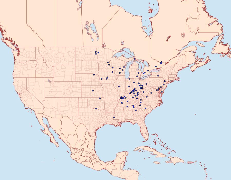 Distribution Data for Papaipema furcata