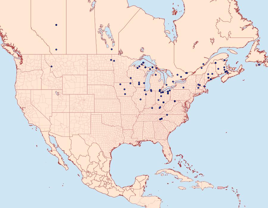 Distribution Data for Papaipema unimoda