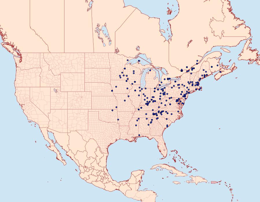 Distribution Data for Machimia tentoriferella