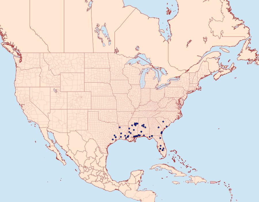 Distribution Data for Eupragia hospita