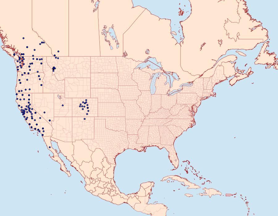 Distribution Data for Aseptis binotata