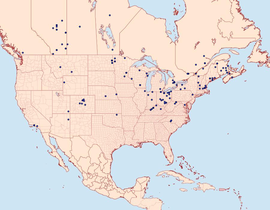 Distribution Data for Ipimorpha pleonectusa