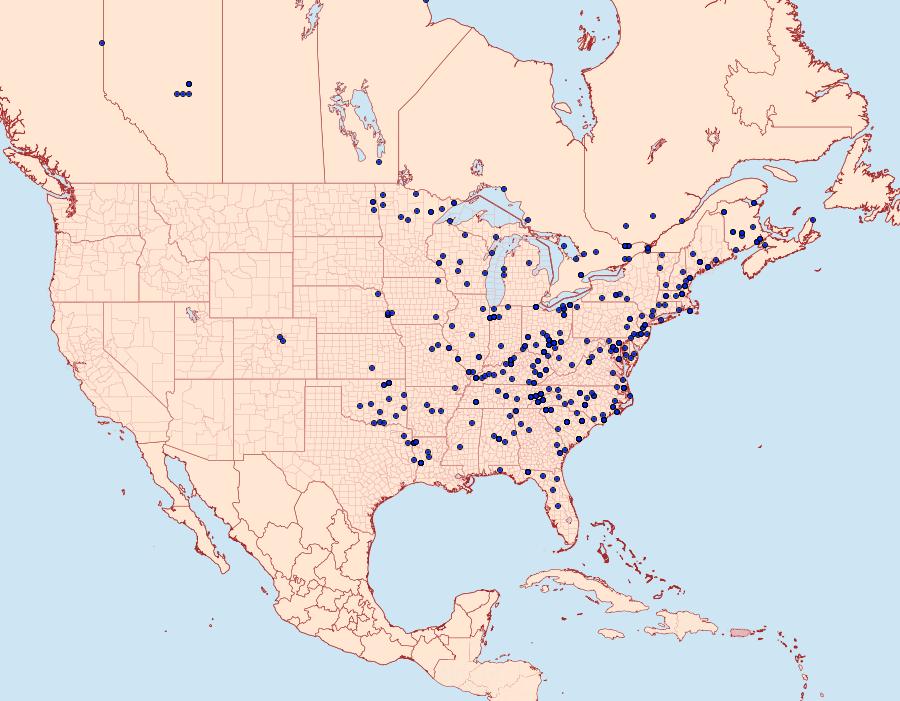 Distribution Data for Chytonix palliatricula