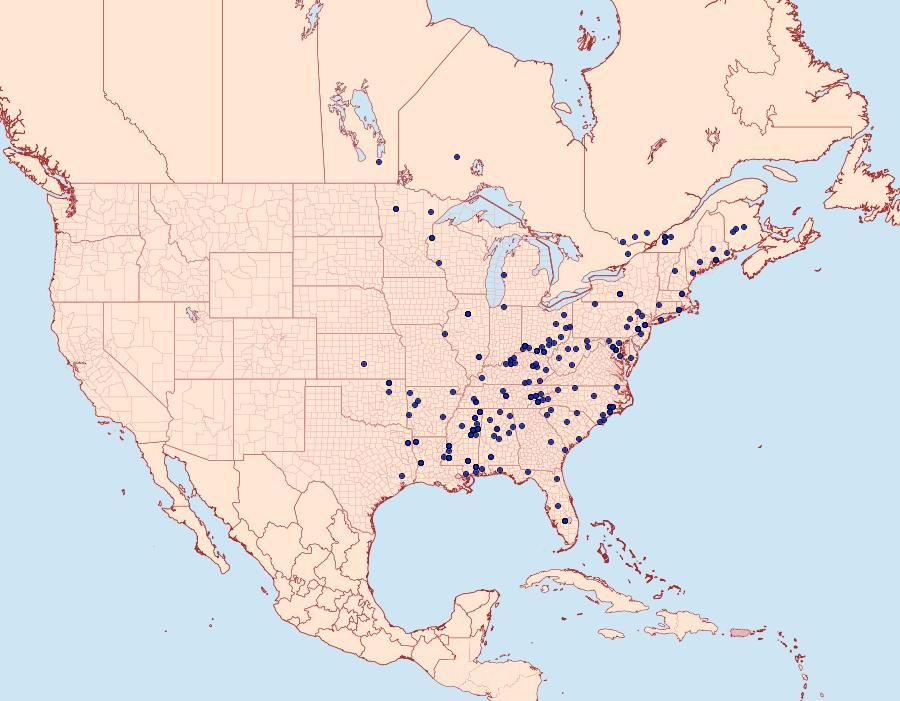 Distribution Data for Psilocorsis reflexella