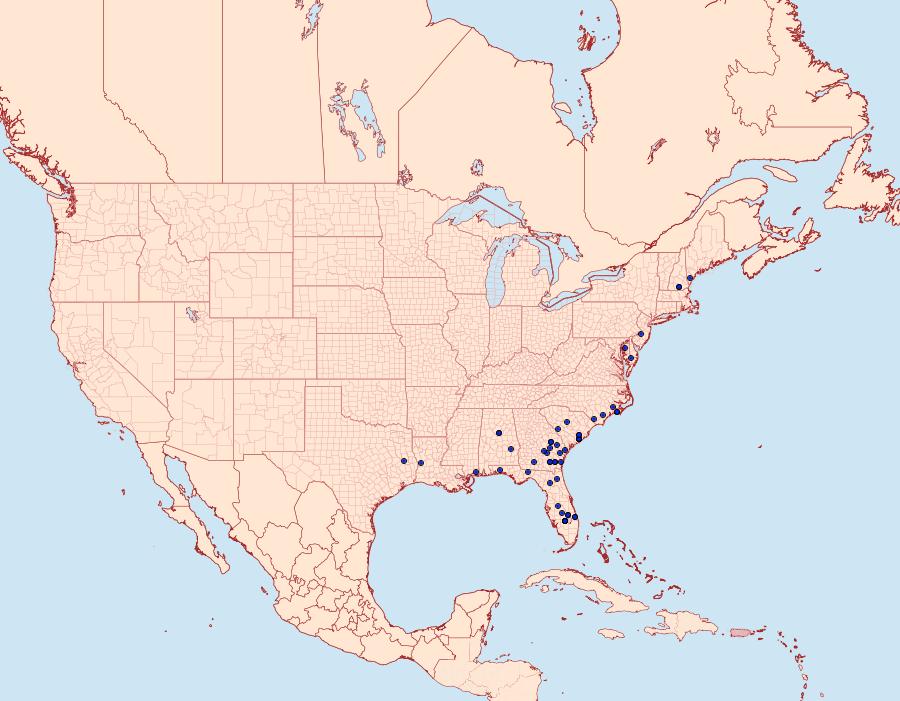 Distribution Data for Callopistria granitosa