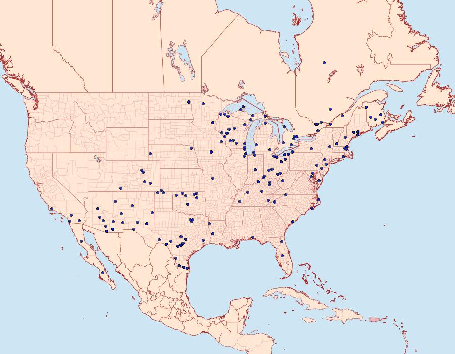 Distribution Data for Magusa divaricata