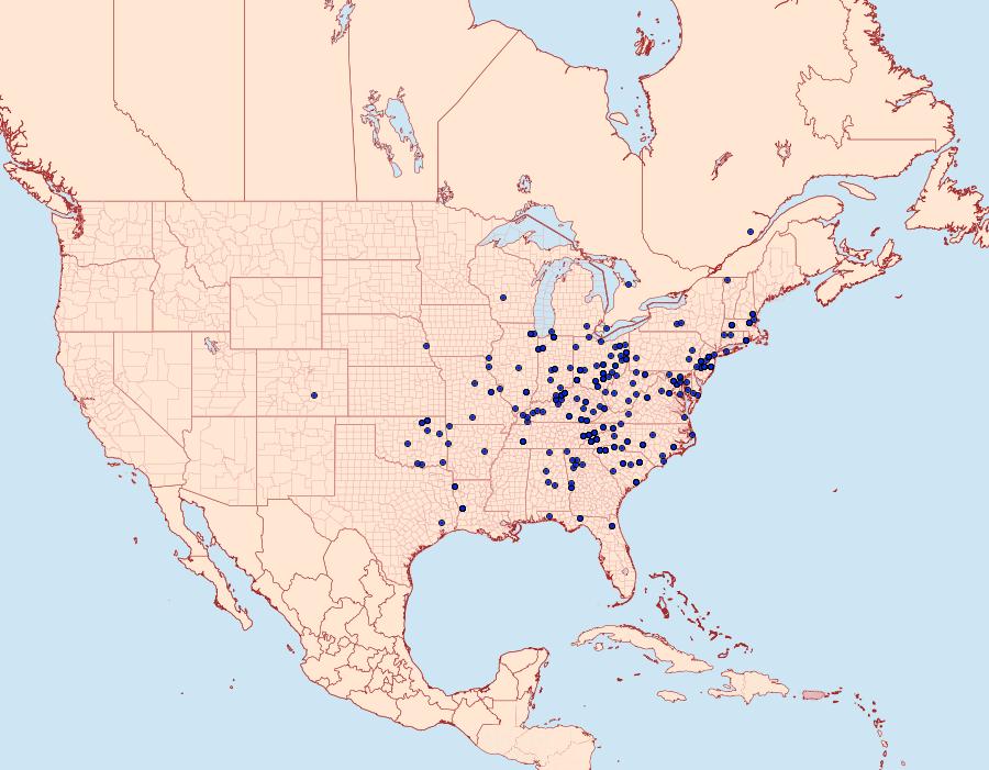 Distribution Data for Athetis tarda