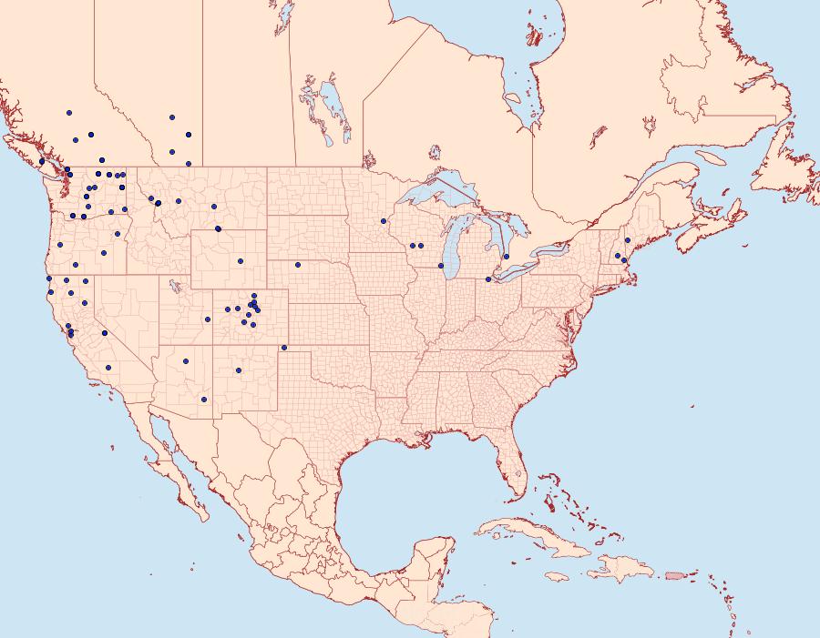 Distribution Data for Caradrina meralis