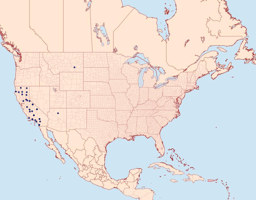 Distribution Data for Caradrina mona