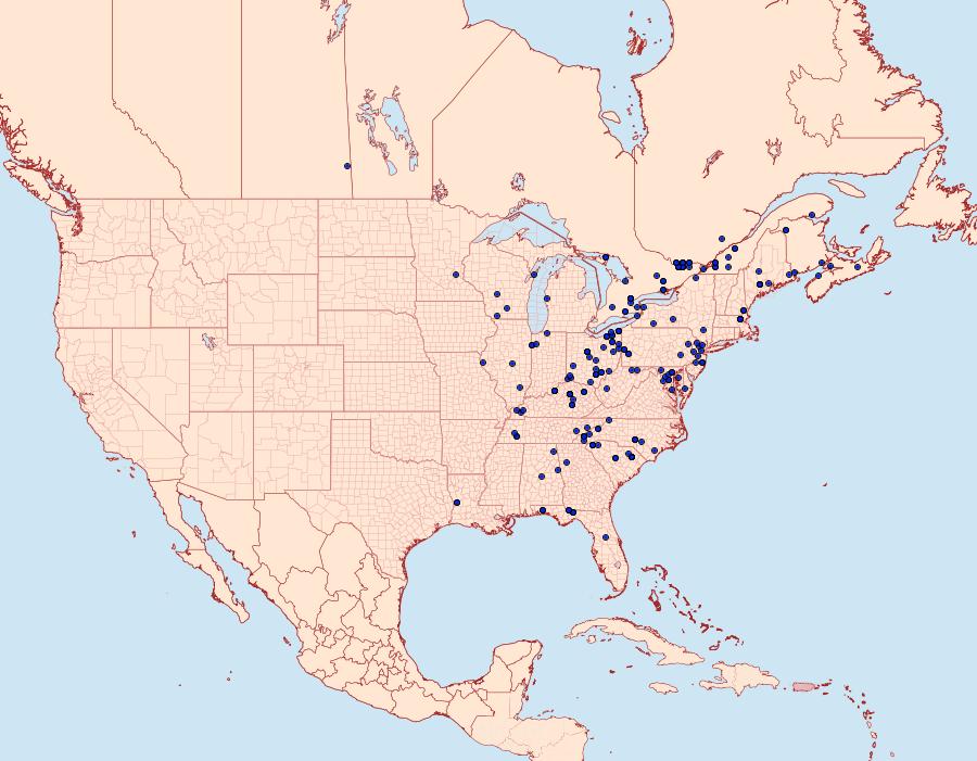 Distribution Data for Balsa malana