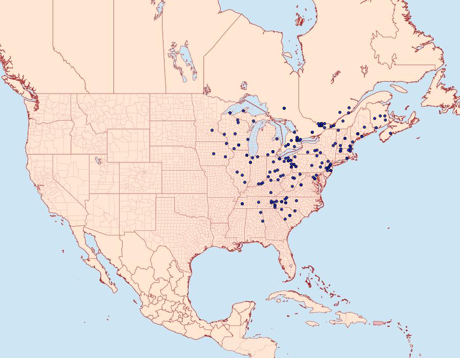 Distribution Data for Balsa tristrigella