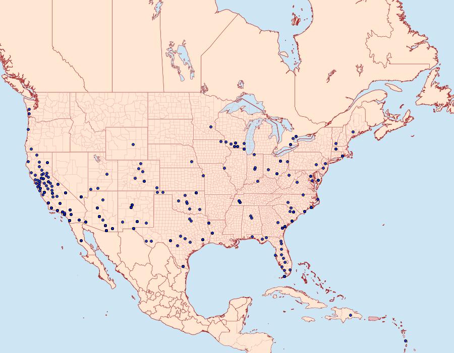 Distribution Data for Spodoptera exigua