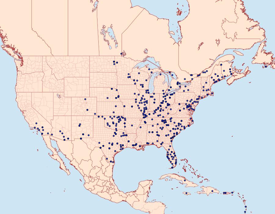 Distribution Data for Spodoptera frugiperda