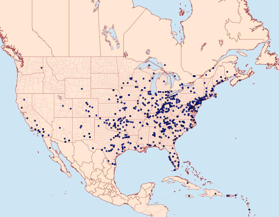 Distribution Data for Spodoptera ornithogalli