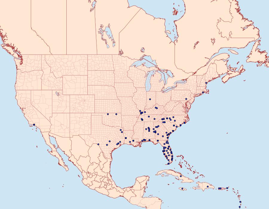 Distribution Data for Spodoptera dolichos