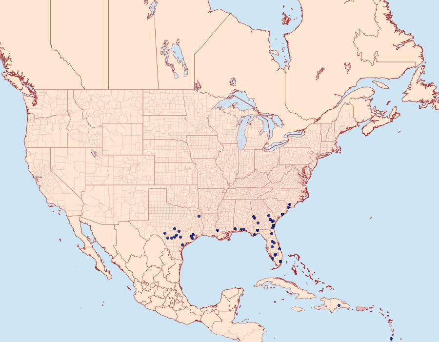 Distribution Data for Elaphria fuscimacula