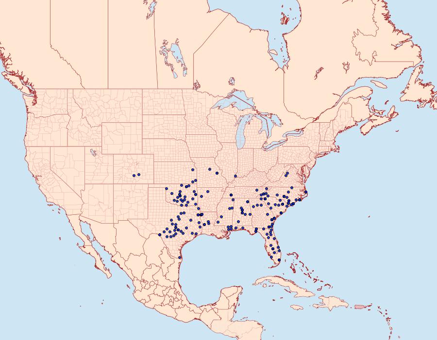 Distribution Data for Elaphria festivoides