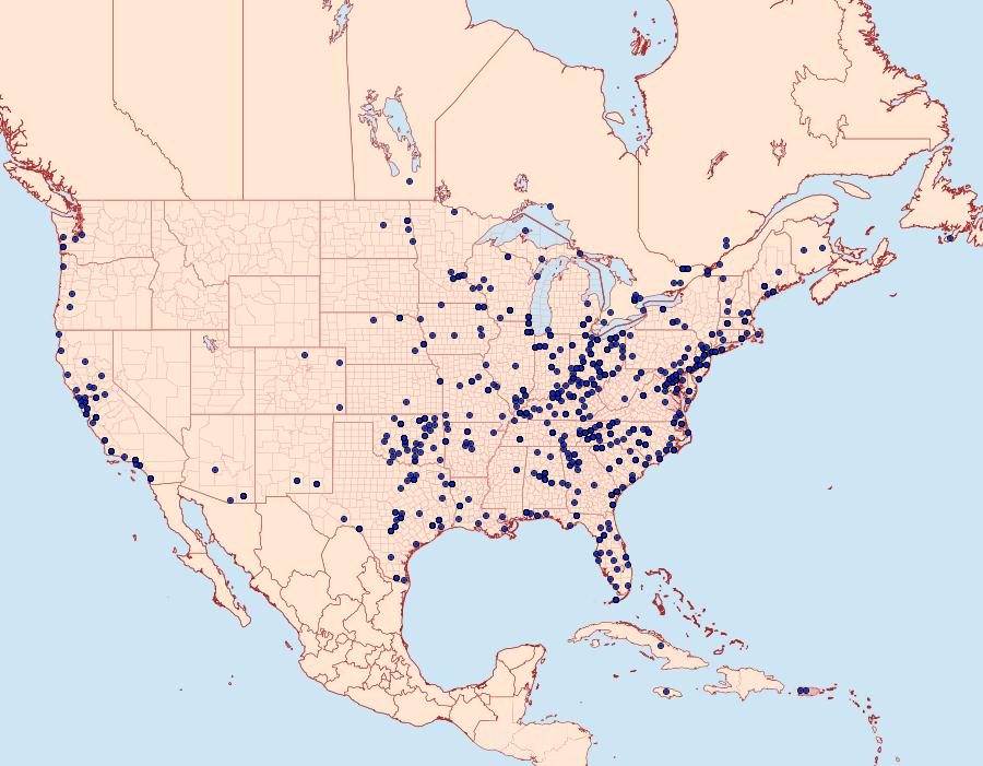 Distribution Data for Galgula partita