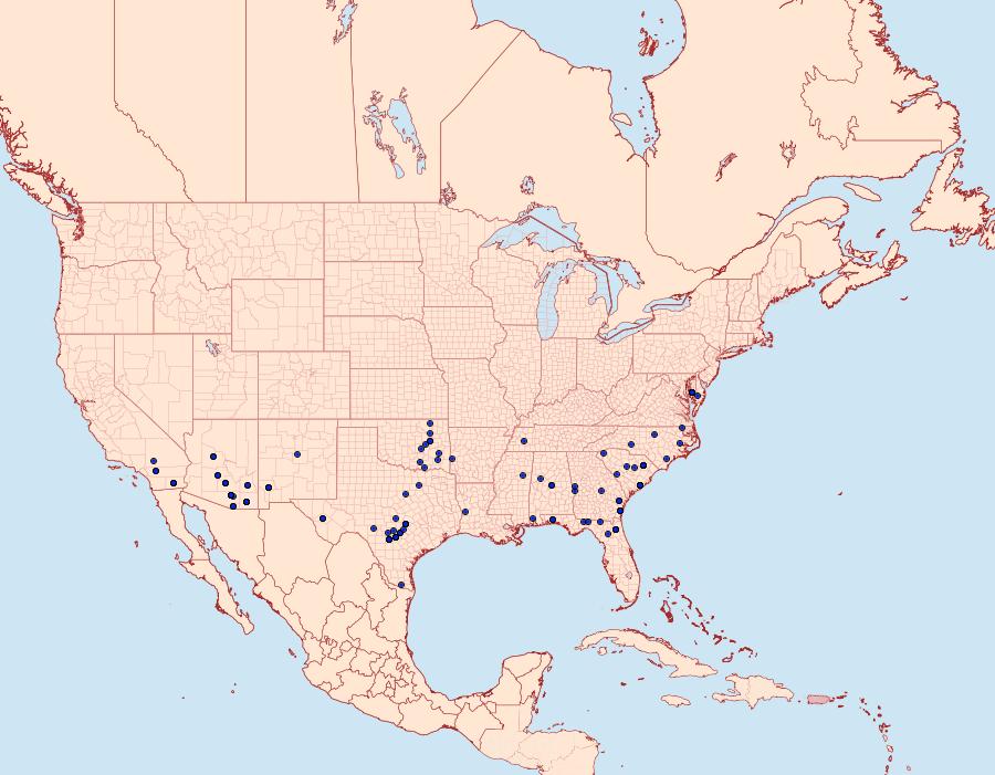 Distribution Data for Emarginea percara