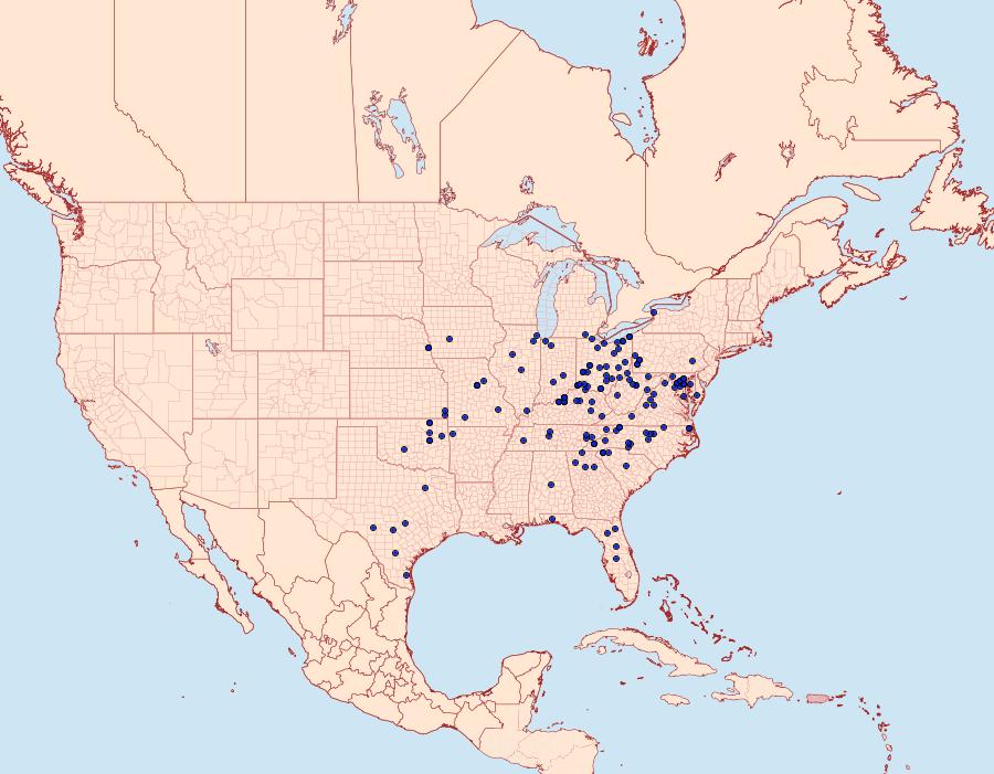 Distribution Data for Basilodes pepita