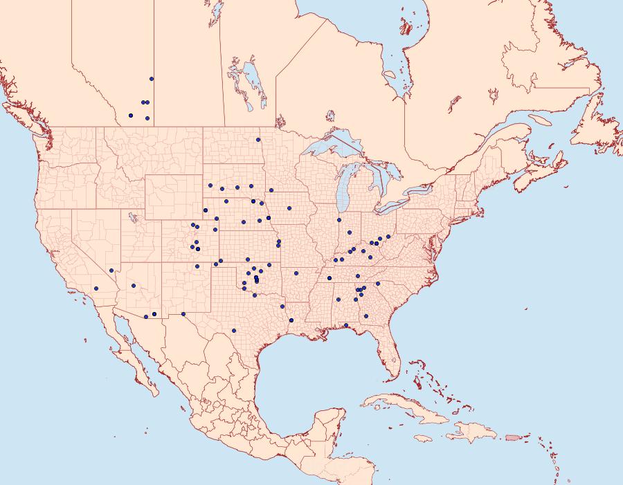 Distribution Data for Stiria rugifrons