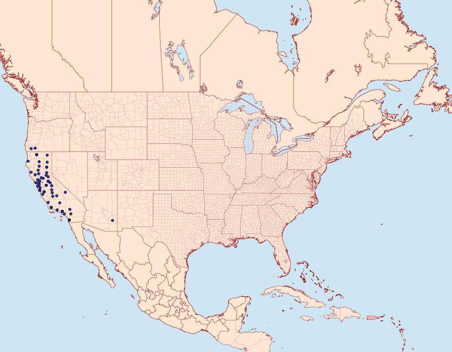 Distribution Data for Ethmia arctostaphylella