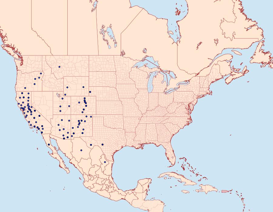 Distribution Data for Ethmia discostrigella