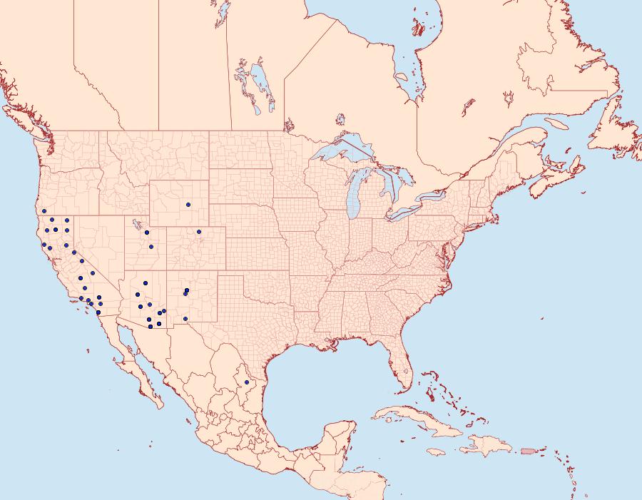 Distribution Data for Ethmia semitenebrella