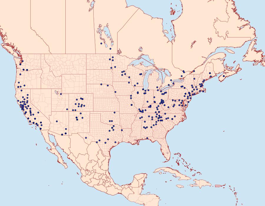 Distribution Data for Cosmia calami