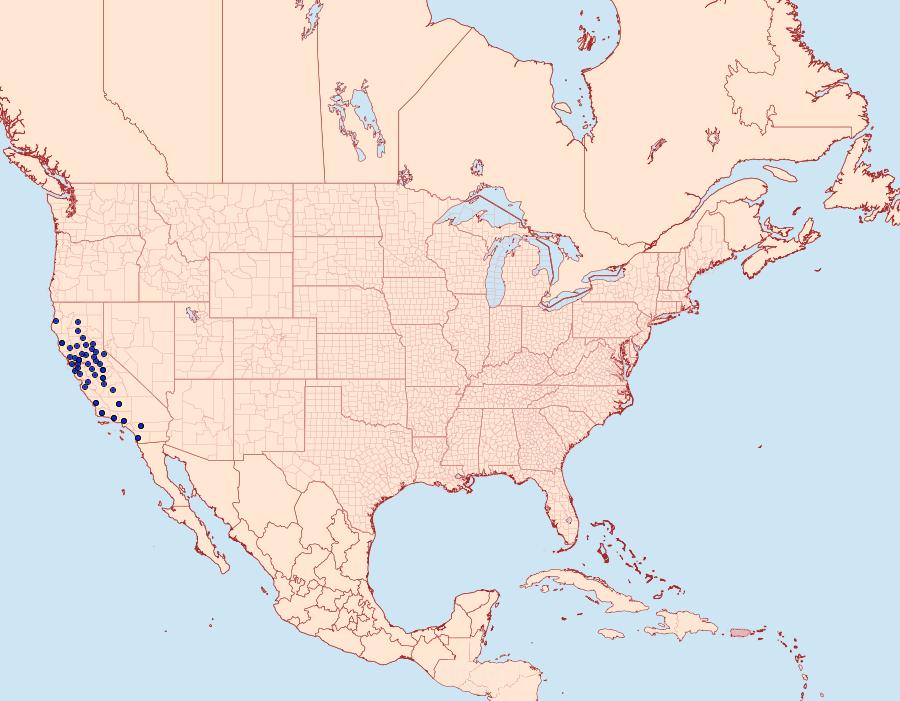 Distribution Data for Axenus arvalis