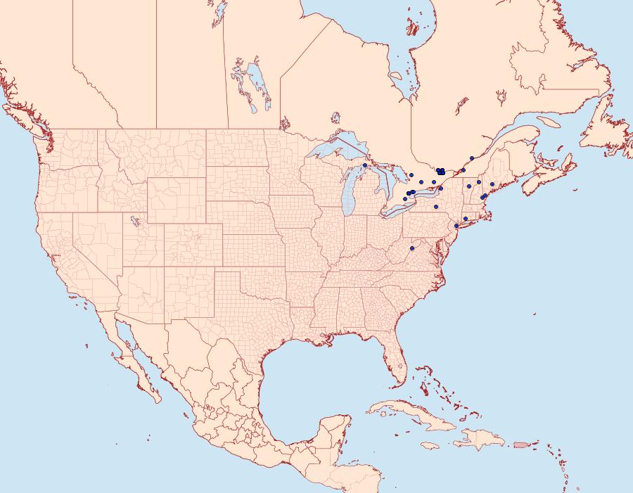 Distribution Data for Ethmia bipunctella