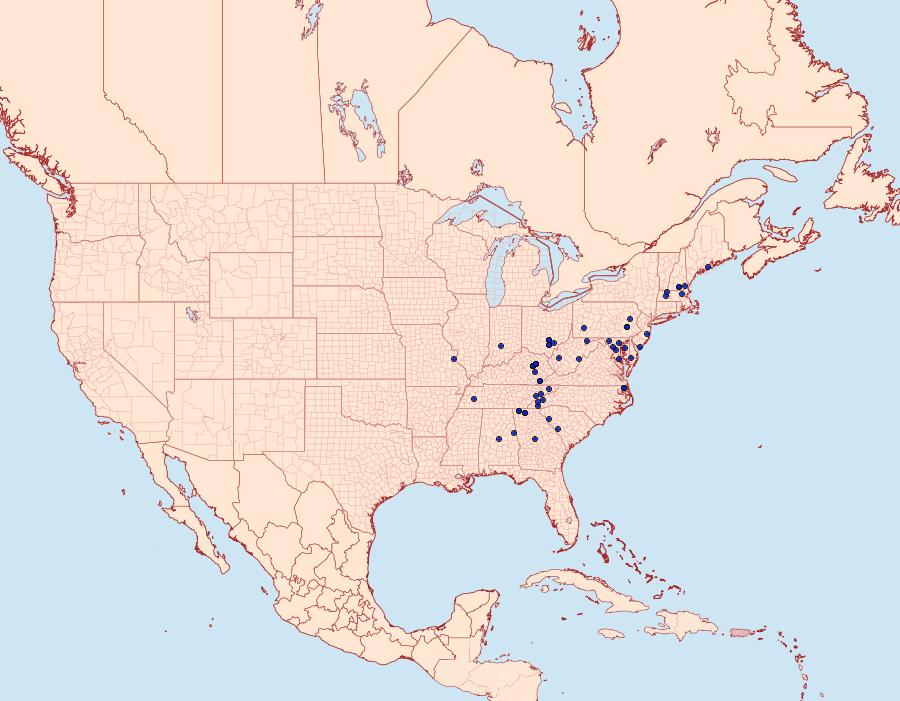 Distribution Data for Lithophane querquera