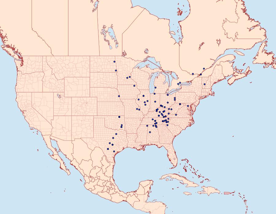 Distribution Data for Ethmia zelleriella