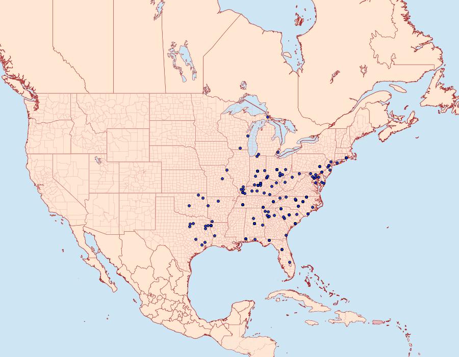 Distribution Data for Sericaglaea signata