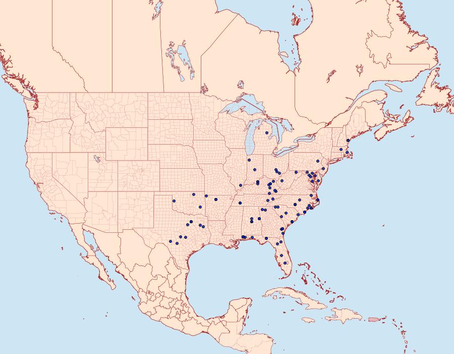 Distribution Data for Xystopeplus rufago