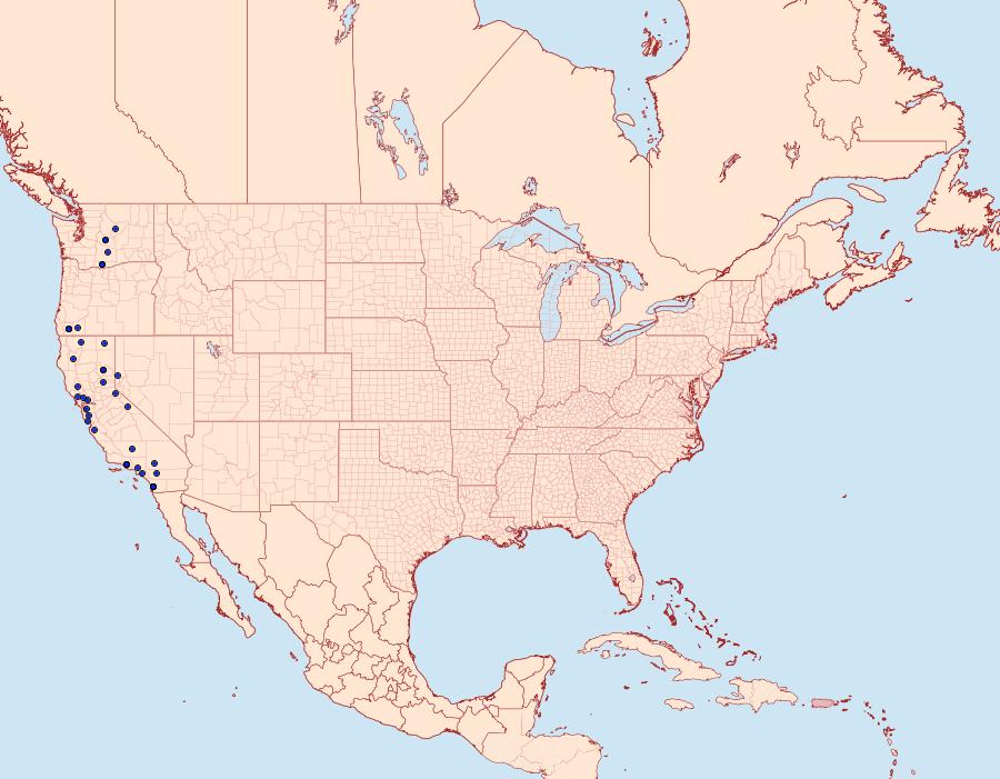 Distribution Data for Mesogona subcuprea