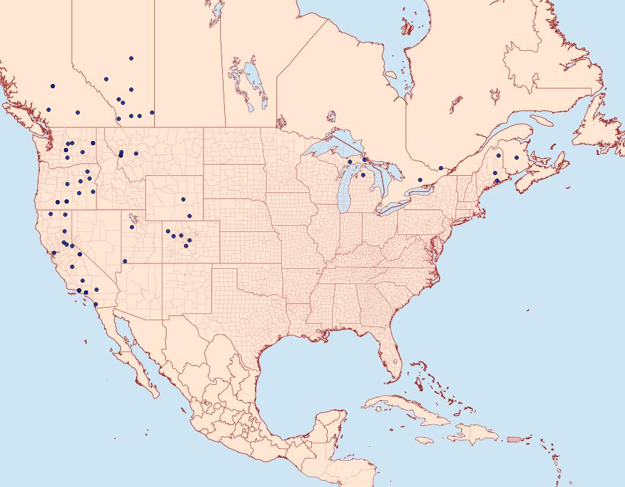 Distribution Data for Fishia yosemitae